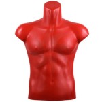 Male torso form top in polyethylene red