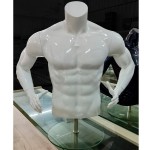 Male torso form with arms of fiberglass + Base MOD.2