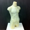 Male bust form with legs for sewing or exhibiting clothes