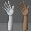Exhibitor hand-arm polyethylene