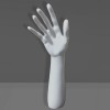Exhibitor hand-arm polyethylene